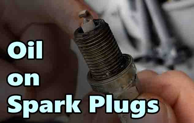 Oil on Spark Plugs
