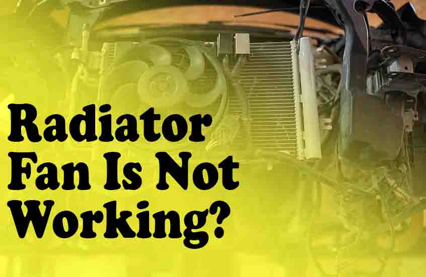 Radiator Fan Is Not Working?